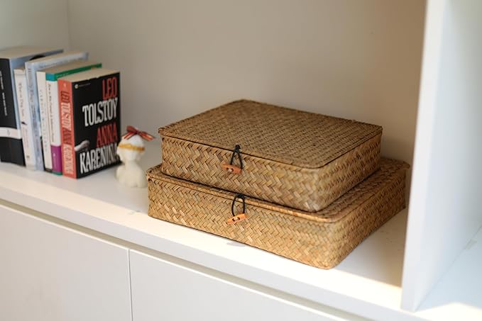 DOKOT Flat Seagrass Storage Bins with Lid Wicker Basket for Shelf Organize Set of 2 (Small+Large)