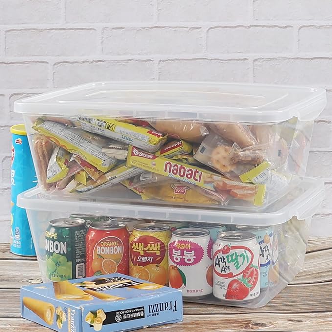 2-Pack 16 Quart Plastic Storage Box Bin with Lid Clear Latching Storage Bin