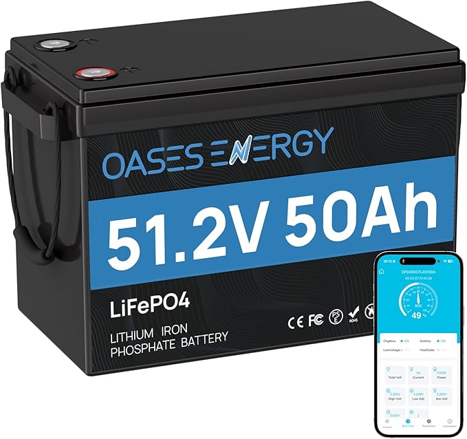 48V 50Ah LiFePO4 Lithium Battery Mini with Bluetooth 100A BMS Deep Cycles 48V LiFePO4 Battery 2560Wh Energy for Off-Grid Solar RV Camper Marine Boats
