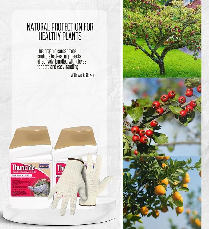 2X Bonide Insect Control Liquid Concentrate 16 oz Bundle with Work Gloves – Caterpillar and Worm Control Insecticide for Outdoor Plants and Gardens – Gift Set (3 Items)