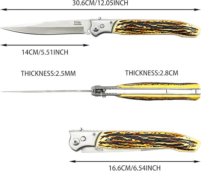 12-inch Large Pocket Folding Knife 440C Steel Blade and Resin Handle Assisted Opening with Slide Safety Lock EDC for Outdoor Hiking Camping and Adventure