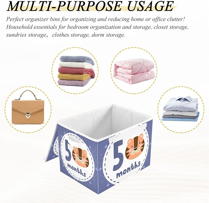 5_months Storage Box with Lid Collapsible Cube Storage Shoe Boxes with Lids for Dorm Room Dormroom Storage