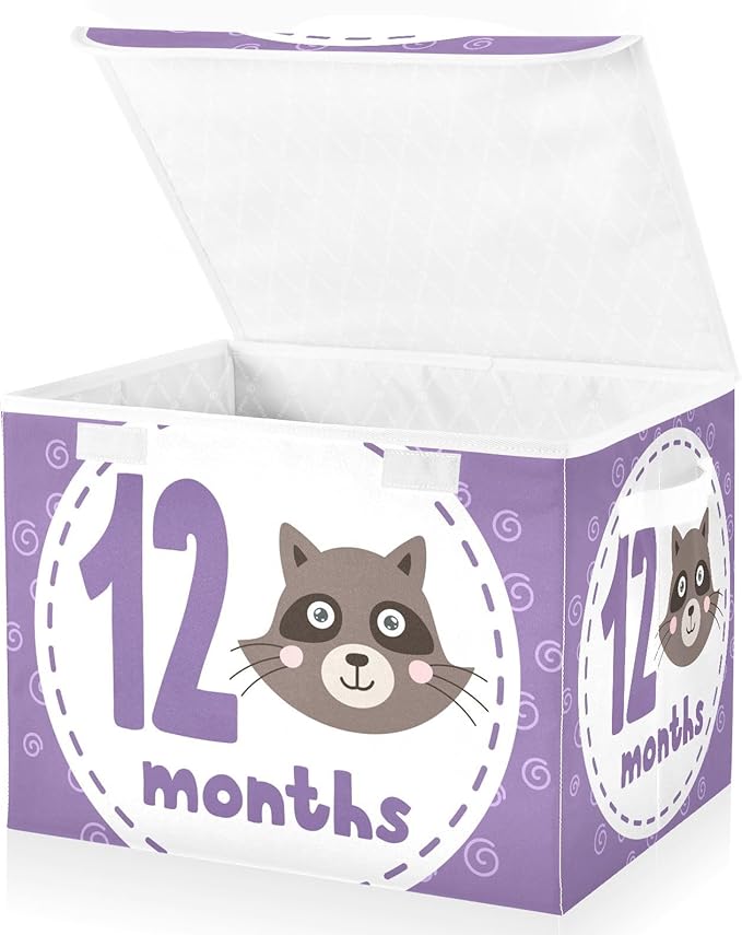 12_months Storage Bin with Lid Foldable Organizer Bins Storage with Lid for Office Supplies Home Decor