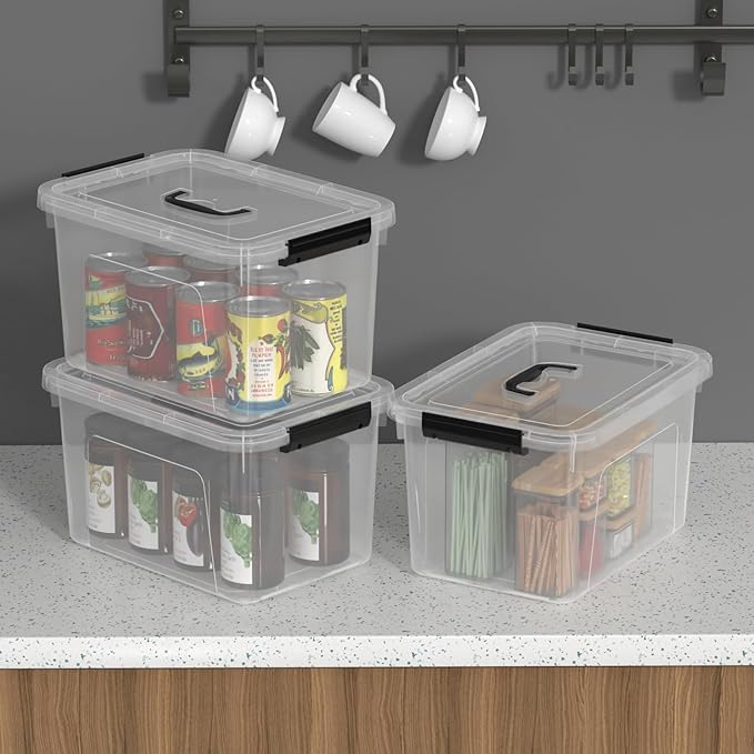 10 Liters Clear Plastic Storage Boxes with Lids Small Containers Bins with Lids and Handles Set of 6