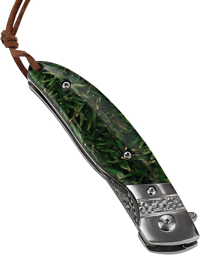 ALBATROSS Damascus Folding Pocket Knife - Premium EDC with VG10 Steel Blade Green Synthetic Handle Ball Bearing Assisted Opening Liner Lock for Outdoor Hunting Camping - Great Gift for Men - HGDK