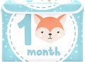 1_month Storage Container with Lid Foldable Organization Storage Storage Bins for Clothes for Home Studyroom Dormroom