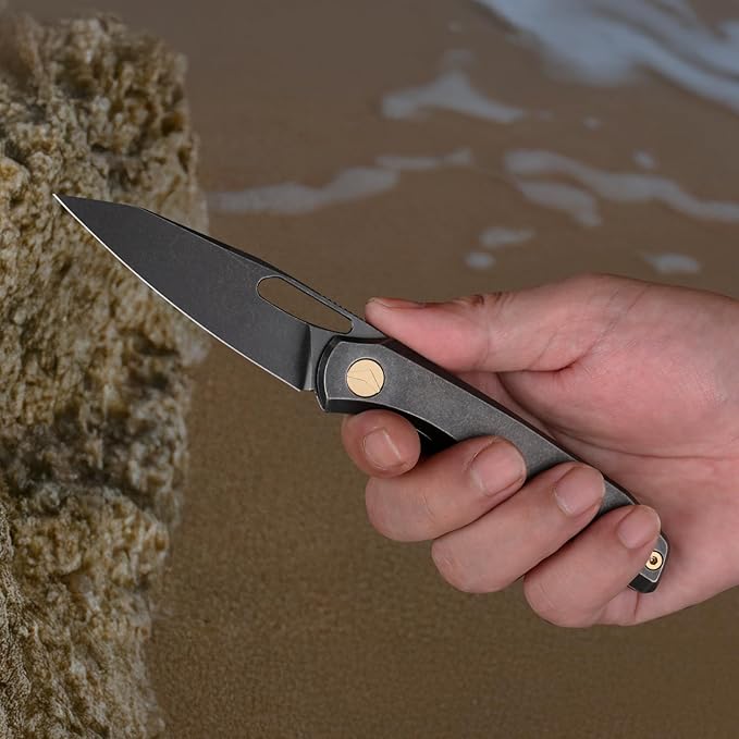 Folding Pocket Knife 3.23 S90V Blade EDC Knife with Titanium Handle Small Pocket Knife with Clip and Frame Lock Sharp Camping Hiking Hunting Survival Knives for Men (Black)