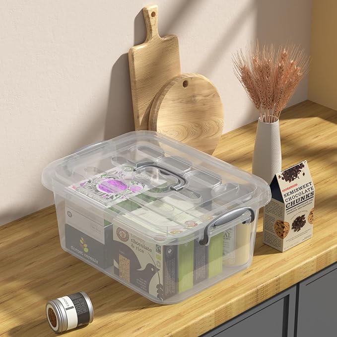 Clear Plastic Storage Boxes with Lid 2-Pack Storage Latch Bins 8 L F
