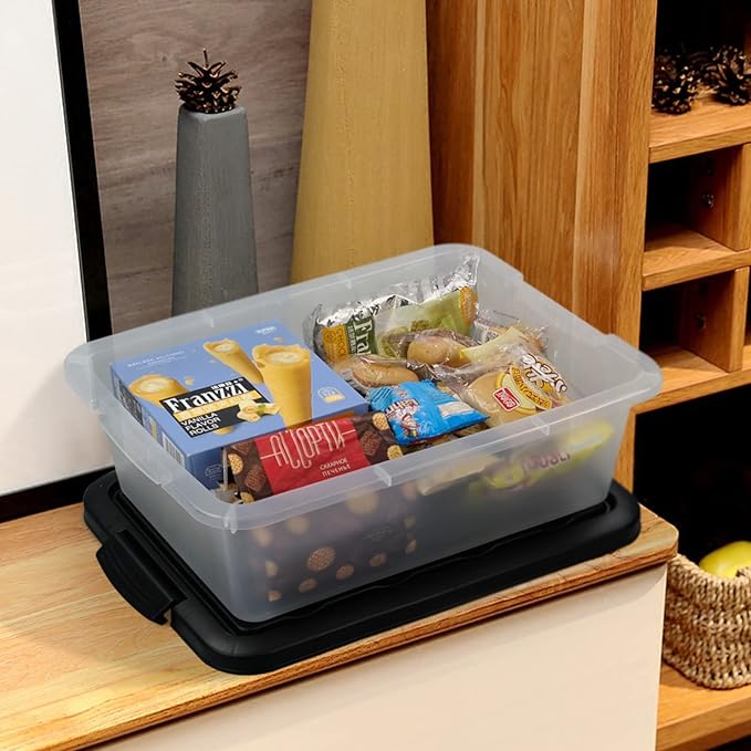 Teyyvn 14 L Clear Storage Box 2-Pack Plastic Storage Bin with Black Lid