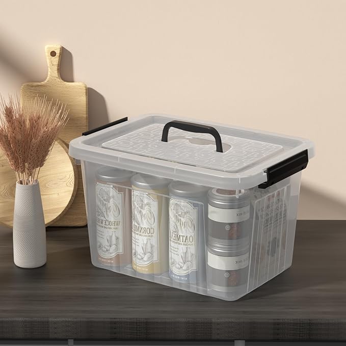 Set of 4 Storage Bins with Latch Lids Clear Plastic Storage Box with Handle 18 L