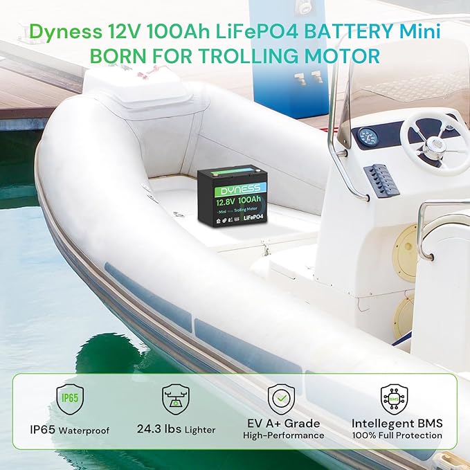 12V 100Ah Mini LiFePO4 Battery Group 24 12.8V Lithium Battery with 100A BMS Low-Temp Protection &amp 10 Years Lifespan for Trolling Motor Marine Boat RVs Solar Off-Grid Golf Cart
