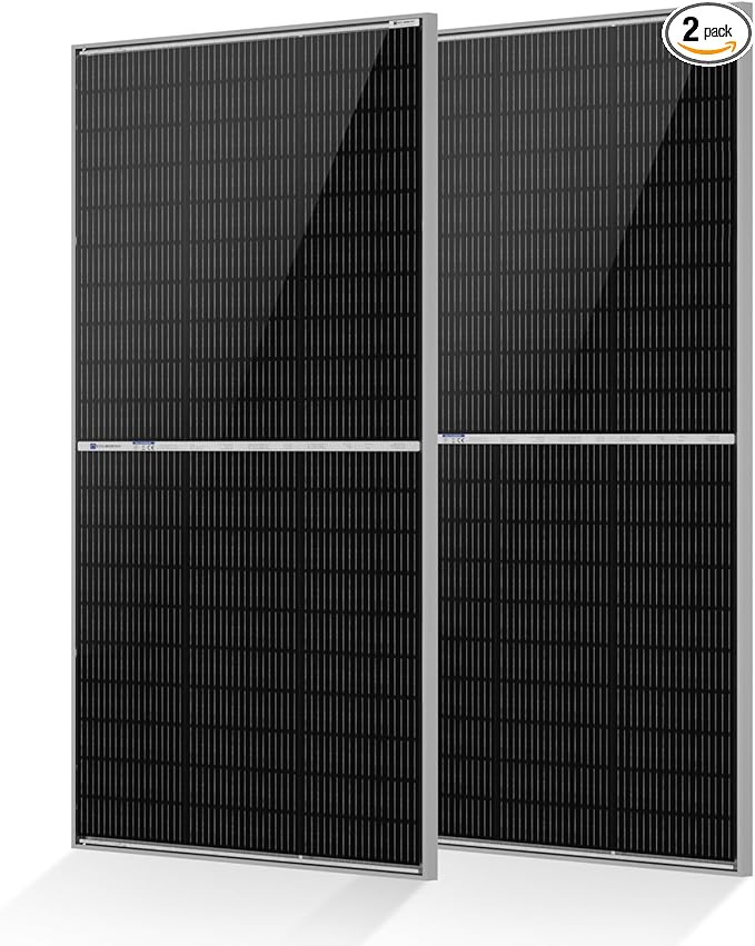 ECO-WORTHY N-Type 18BB Bifacial Solar Panels 2PCS 195W 12 Volt Monocrystalline Solar Panel with 25% High Conversion Efficiency Ideal for RV Boat Roof FarmHome &amp Off-Grid Applications
