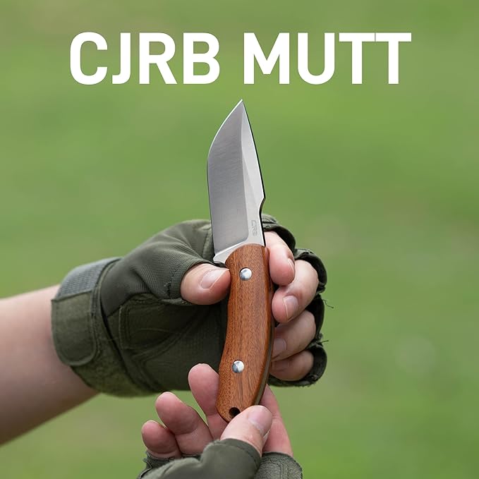 CJRB Mutt Fixed Blade Knife 3.18 AR-RPM9 Steel Blade EDC Camping Knife with Wood Handle Full Tang Hunting Survival Knives with Sheath J1958 WD