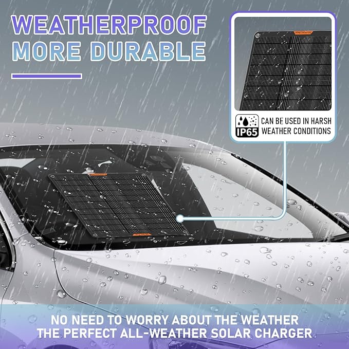 12 Volt 20W Solar Car Battery Charger &amp Maintainer Solar Panel Trickle Charger with Alligator Clip&amp Cigarette Lighter PlugAdapter for Car Boat Automotive Motorcycle RV