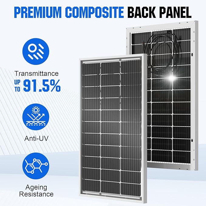 ECO-WORTHY 1.28KWH 200W RV Solar Panel Kit 12v 100ah lifepo4 Battery with Status Display 2PCS 100W Bifacial Solar Panels30A Controller with USB for Garden Home DC-Powered Appliances