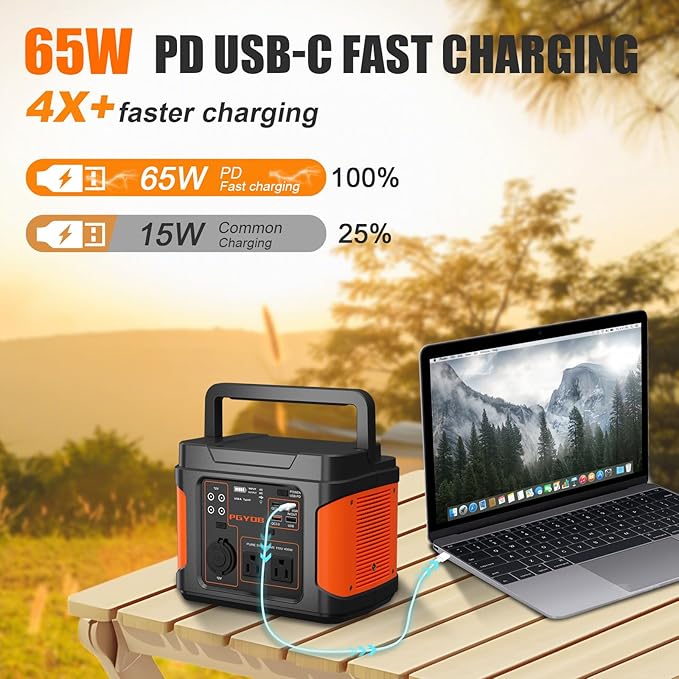 PGYOB 400W Portable Power Station 296Wh Outdoor Solar Generator Backup Ternary Battery Pure Sine Wave Power Pack with AC/DC Outlet PD 65W USB-C Outlet for Home Camping RV Blackout CPAP