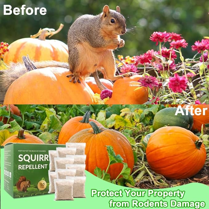 Extra-Strength Squirrel Repellent Natural Mint Chipmunk Deterrent for Outdoor Use Helps Keep Squirrels Out of Attics Car Engines Gardens &amp Yards 10 Pouches