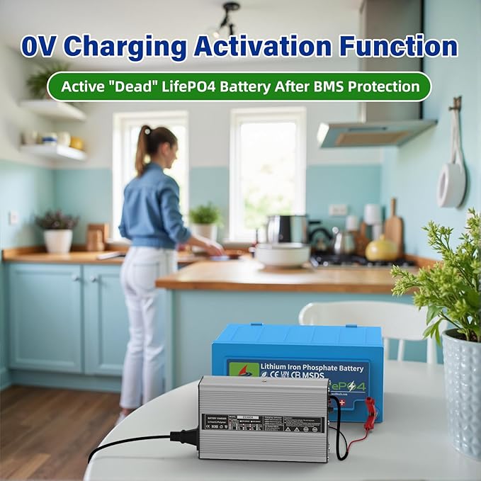 58.4V 5A AC-DC Battery Charger Dedicated Best Solution for 48V Lithium Iron Phosphate LiFePO4 Battery Recharging Support Charging Solar Off-Grid Golf Cart (58.4V 5A Charger-Silvery)