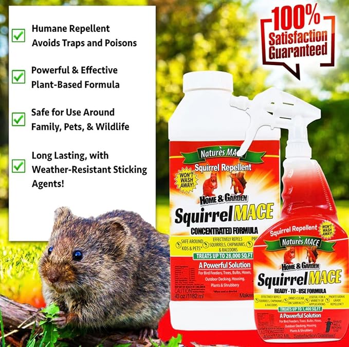 Nature's Mace Squirrel Repellent for Outdoors Chipmunk Deterrent for Attic Garden Car Keep Out of Garden Bird Feeders Fruit Trees Yard Plants (1 Gallon Ready-to-Use)