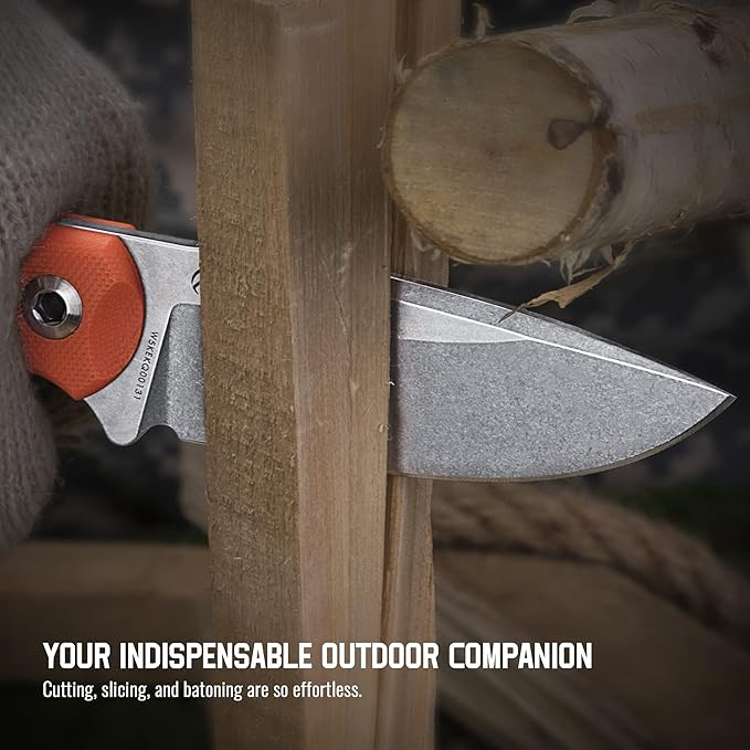 Ruike Survival Hunting EDC Fixed Blade Knife With SheathSmall Lightweight14c28n Full-Tang Bushcraft BowieTactical Camping Gear For MenDefense Top Horizontal Stainless SteelCarry Kydex Blet F815