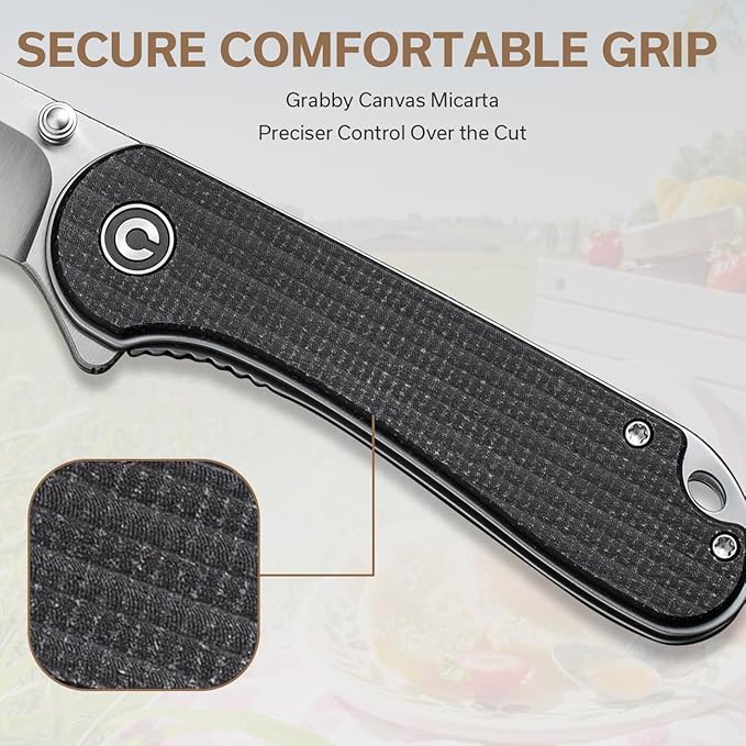 CIVIVI Pocket Knife - Elementum Folding Knife with 2.97'' Nitro-V Wharncliffe Blade Micarta Handle Ideal for Outdoor EDC Gift C18062AF-3
