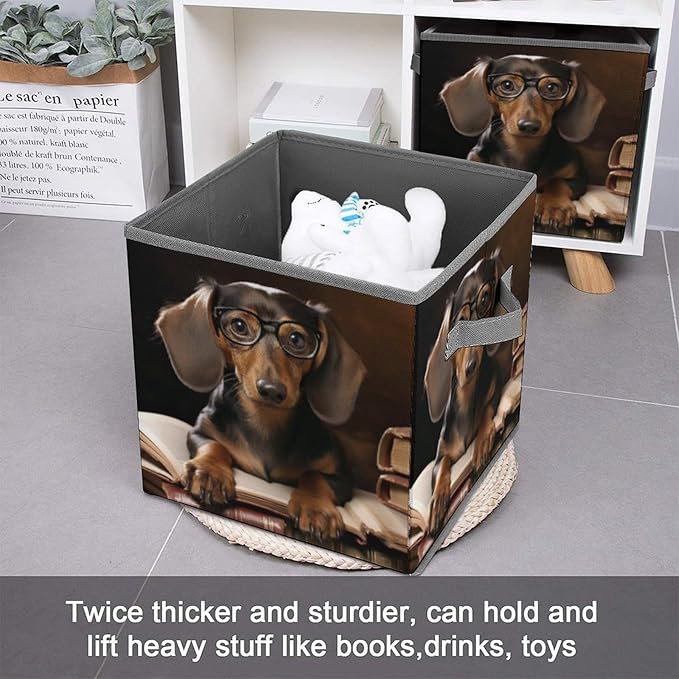 Dachshund Printed Foldable Storage Box 10.6 Inches Fabric Storage Box for Wardrobe Bedroom Utility Room