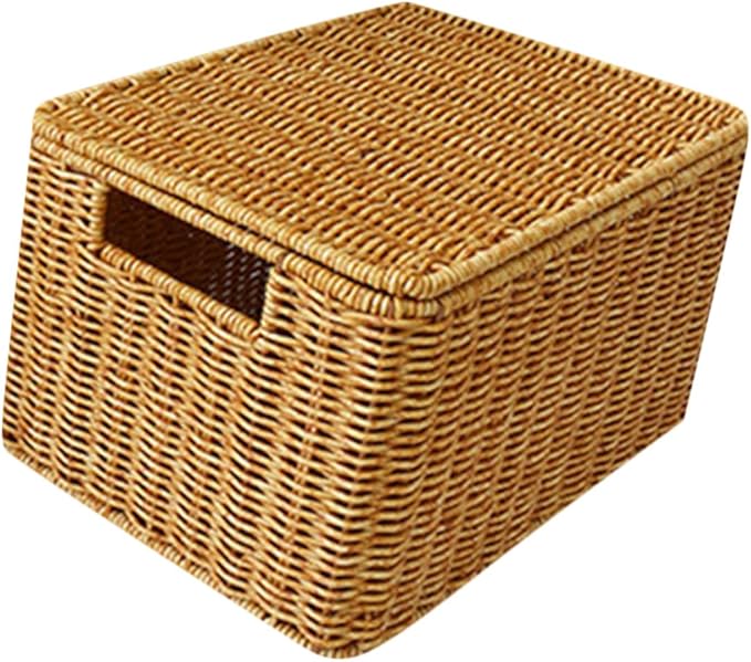 Garneck Faux Rattan Storage Box with Lid Small Sundries Organizer for Bedroom Wardrobe Living Rustic Style Household Storage Bin for Clothes and Books Practical Tiny House Furniture