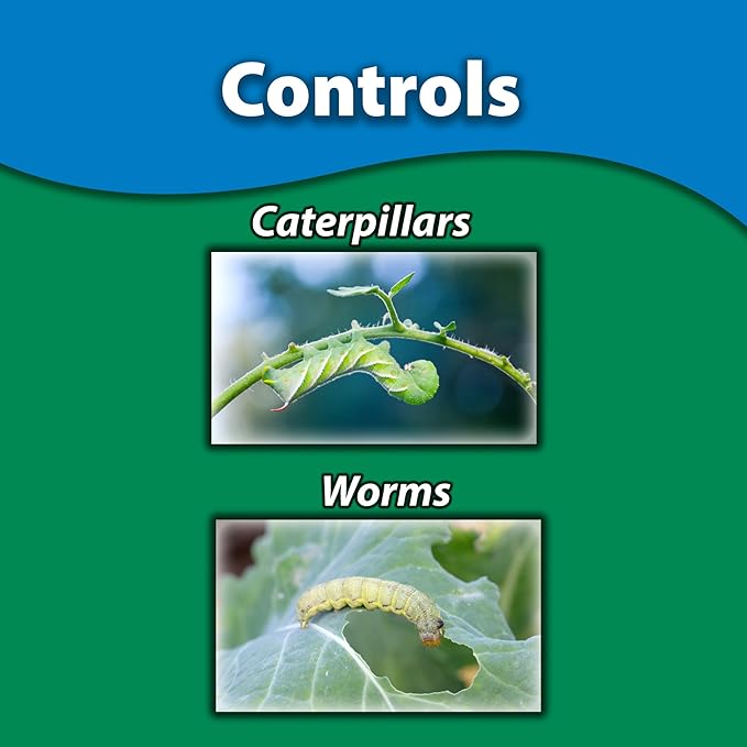 Monterey B.t. Bundled with Measuring Spoon - Caterpillar &amp Worm Killer Organic Gardening - Apply with Sprayer - 32 oz