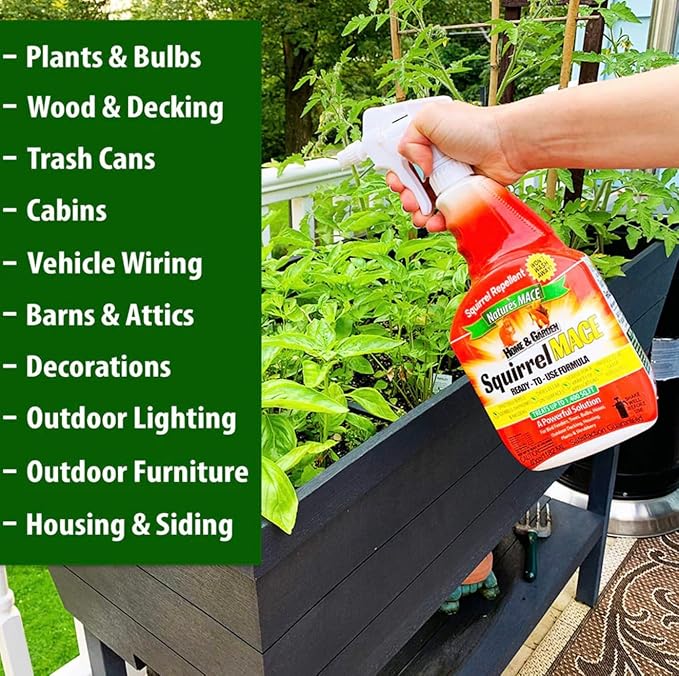 Nature's Mace Squirrel Repellent for Outdoors Chipmunk Deterrent for Attic Garden Car Keep Out of Garden Bird Feeders Fruit Trees Yard Plants (1 Gallon Ready-to-Use)