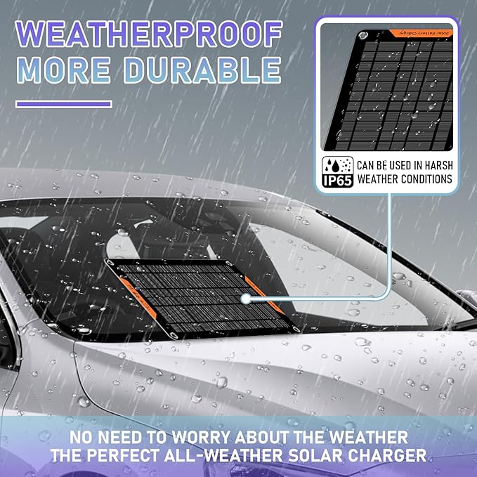 12 Volt 10 Watt Solar Car Battery Charger &amp Maintainer Solar Panel Trickle Charger with Alligator Clip&amp Cigarette Lighter PlugAdapter for Car Boat Automotive Motorcycle RV