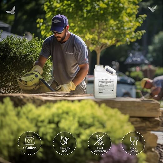 Bird-X Bird Stop Liquid Invisible and Effective Bird Removal Liquid Keep Birds Away Contains Methyl Anthranilate Easy to Apply BS-GAL 1-Gallon