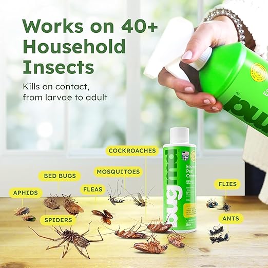 BugMD Ant Killer &amp Bug Spray Concentrate - Roach and Cockroach Killer Indoor Spider &amp Flea Spray for Home Fly and Insect Defense Safe with Essential Oils Plant-Powered Pest Control Kit