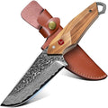 TAN REN Damascus Fixed Blade Knife Outdoor Survival Knife with Sheath Full Tang Bushcraft Knives with Wood Handle Brown Hunting Knives Gift for Men Camping Outdoor Cooking Gift for Him