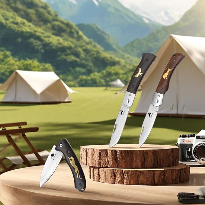 Pocket Folding Knife 3.1 inch 9Cr18MoV Stainless Steel Blade Sharp Pocket Knife with Comfortable Wooden Handle Multi-Tool for Camping