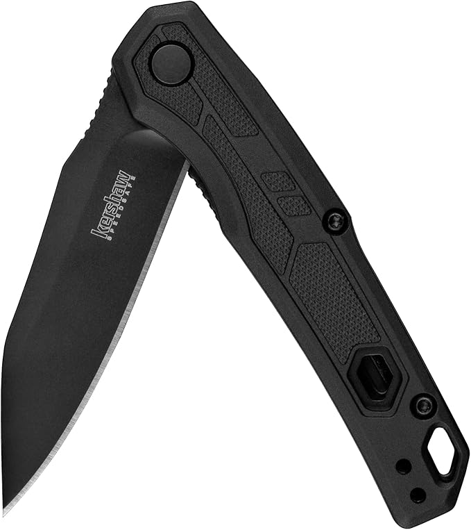 Kershaw Leek Black EDC Pocketknife 3 Sandvik 14C28N Steel Blade Assisted Opening Folding Knife