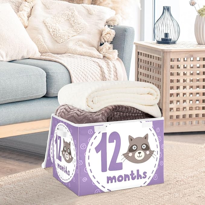 12_months Storage Container with Lid Stackable Closet Organizers Shoe Storage Boxes for Home Studyroom Home Decor