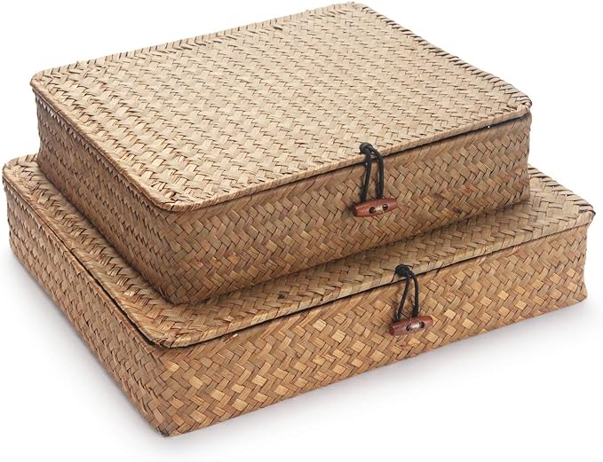 DOKOT Flat Seagrass Storage Bins with Lid Wicker Basket for Shelf Organize Set of 2 (Small+Large)