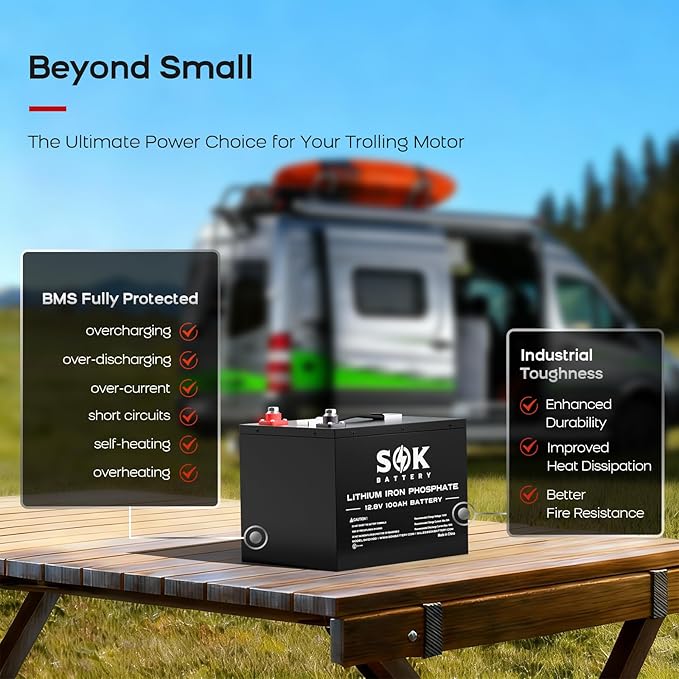 SOK Battery 12V 100Ah LiFePO4 Deep Cycle Lithium Iron Phosphate Battery Built-in Bluetooth Low Temperature Protection &amp Self Heating Function Suitable for RV and Solar &amp Wind Off-Grid Use