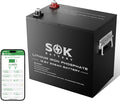 SOK Battery 12V 206Ah LiFePO4 Lithium Battery Deep Cycle Lithium Iron Phosphate Battery with Low-Temp Protection &amp Built-in Heater Suitable for RV and Solar &amp Wind Off-Grid Use