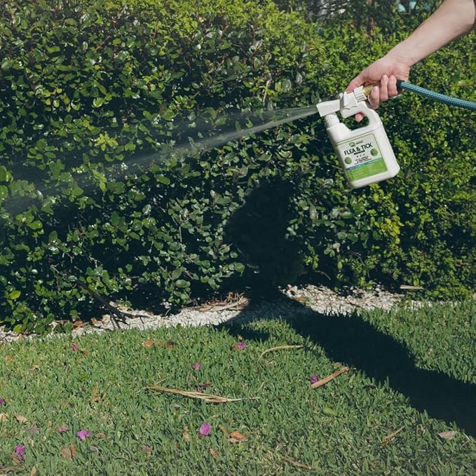 Mosquito Magician Flea and Tick Yard Spray with Hose End Sprayer – Mosquito &amp Tick Killer and Repellent Flea Treatment &amp Outdoor Bug Control for Lawn Garden &amp Backyard – Mint Scent 32 O