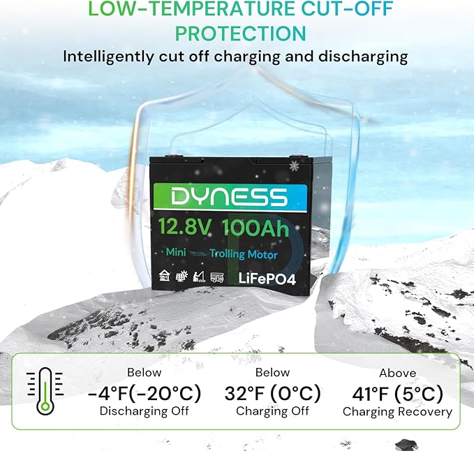 12V 100Ah Mini LiFePO4 Battery Group 24 12.8V Lithium Battery with 100A BMS Low-Temp Protection &amp 10 Years Lifespan for Trolling Motor Marine Boat RVs Solar Off-Grid Golf Cart