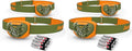 Energizer LED Headlamp PRO (4-Pack) IPX4 Water Resistant Headlamps High-Performance Head Light for Outdoors Camping Running Storm Survival LED Light for Emergencies (Batteries Included)