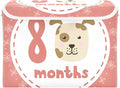 8_months Storage Bins with Lids Collapsible Shoebox Storage Large Storage Bins with Lids for Office Supplies Office