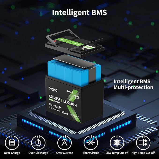 12V 100Ah LiFePO4 Battery with Bluetooth BCI Group 24 Built-in 100A BMS 1280Wh Rechargeable Deep Cycle Lithium Battery 15000+ Cycles for RV Marine Solar Trolling Motor Home Off-Grid