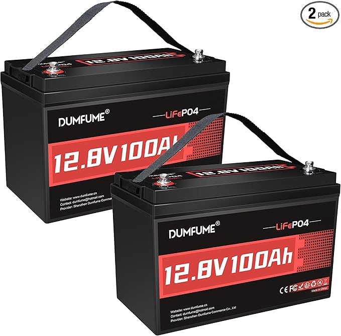 2 Packs 12V 100Ah LiFePO4 Lithium Battery Built in 100A BMS 1280W Power Output Up to 6000+ Cycles Ideal for RV Solar Off-Grid Systems Home Energy Storage