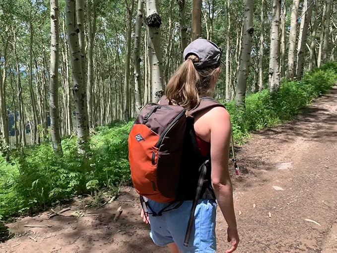 Sherpani Switch 15L Lightweight Travel Hiking Backpack Hydration Backpack Backpack Purse for Women Daypack for Women Fits 13 Inch Laptop (Clay)
