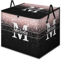 Custom Comforters Storage Basket with Lid Personalized Name Initial Letter Large Organizer Bin for Pet/Children Toys Books Clothes Perfect for Rooms/Playroom Pale Pink Bling with Black