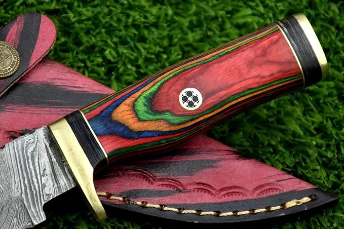 8-Inch Hand-Forged Damascus Steel Hunting Knife Fixed Blade Skinning Design with Leather Sheath Multicolor Wood Handle Brass Guard Twist Pattern Blade for Camping (Multi Color)