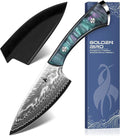 Golden Bird Damascus Steel Knife for Kitchen and Outdoor - Hand Forged Camping Cooking Knife with Resin Handle All Purpose Small Kitchen Knives with Sheath Gift for Men &amp Women