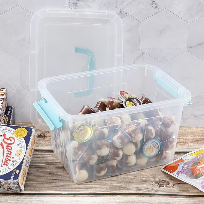6 Quart Plastic Clear Storage Bins with Lids Small Clear Latch Storage Boxes with Handles 6-Pack